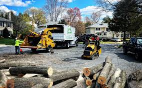 Organic Lawn Care Solutions in Sea Cliff, NY
